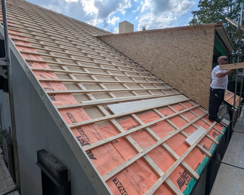 PXL_20240919_130156576