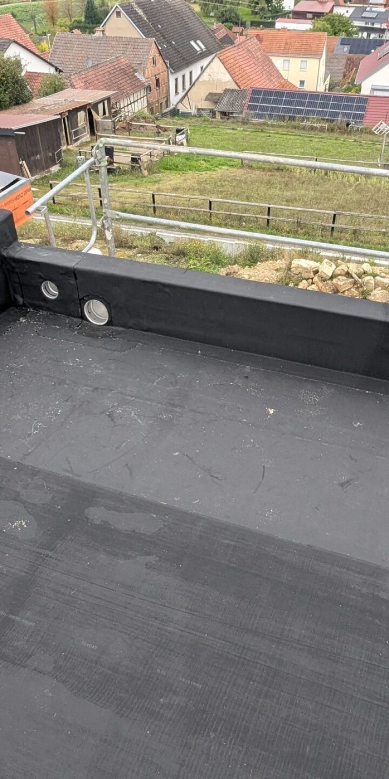 PXL_20240925_134022352