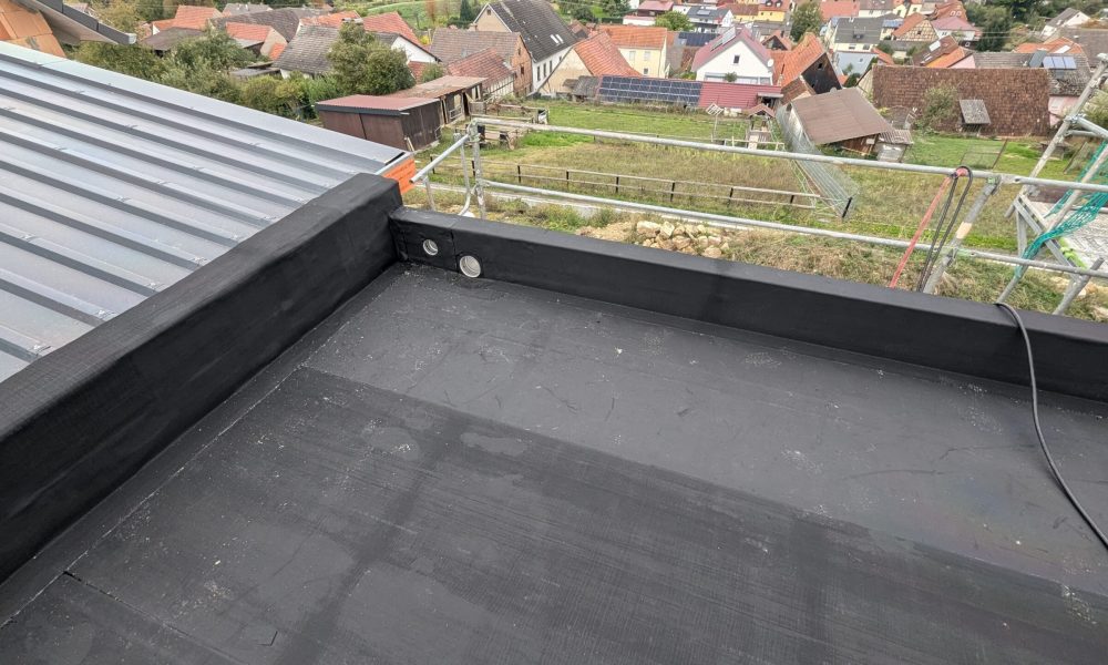 PXL_20240925_134022352