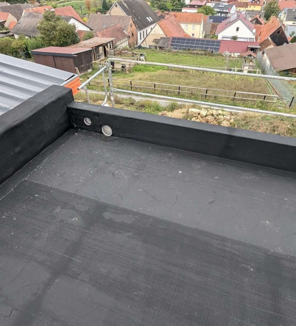 PXL_20240925_134022352