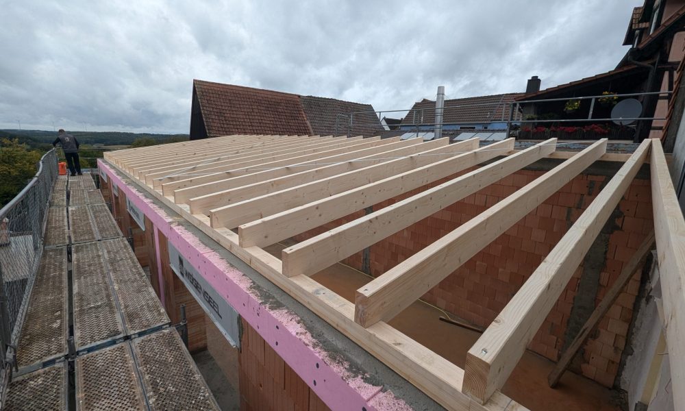 PXL_20240926_095513916