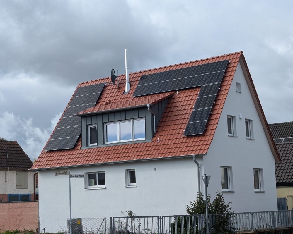 PXL_20241011_100058643