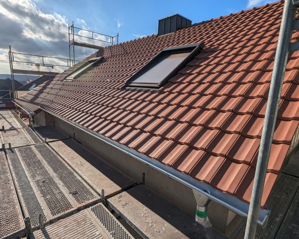 PXL_20241029_131245841