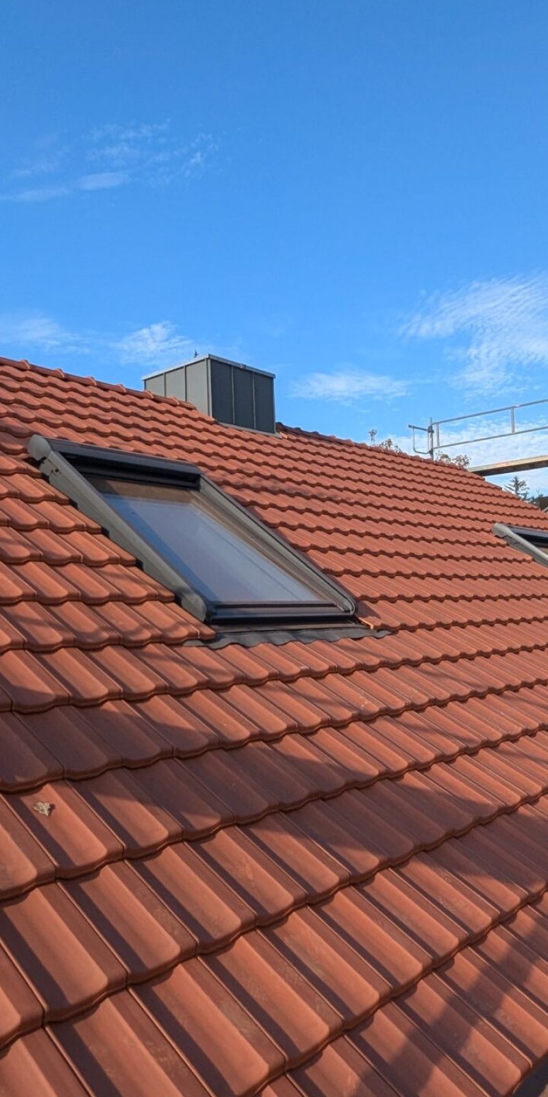 PXL_20241029_131523028