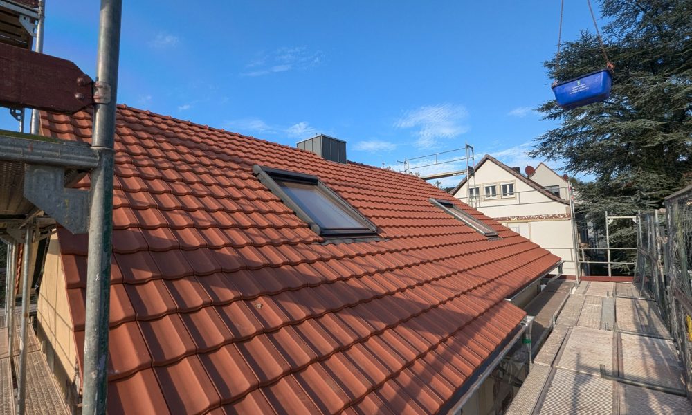 PXL_20241029_131523028