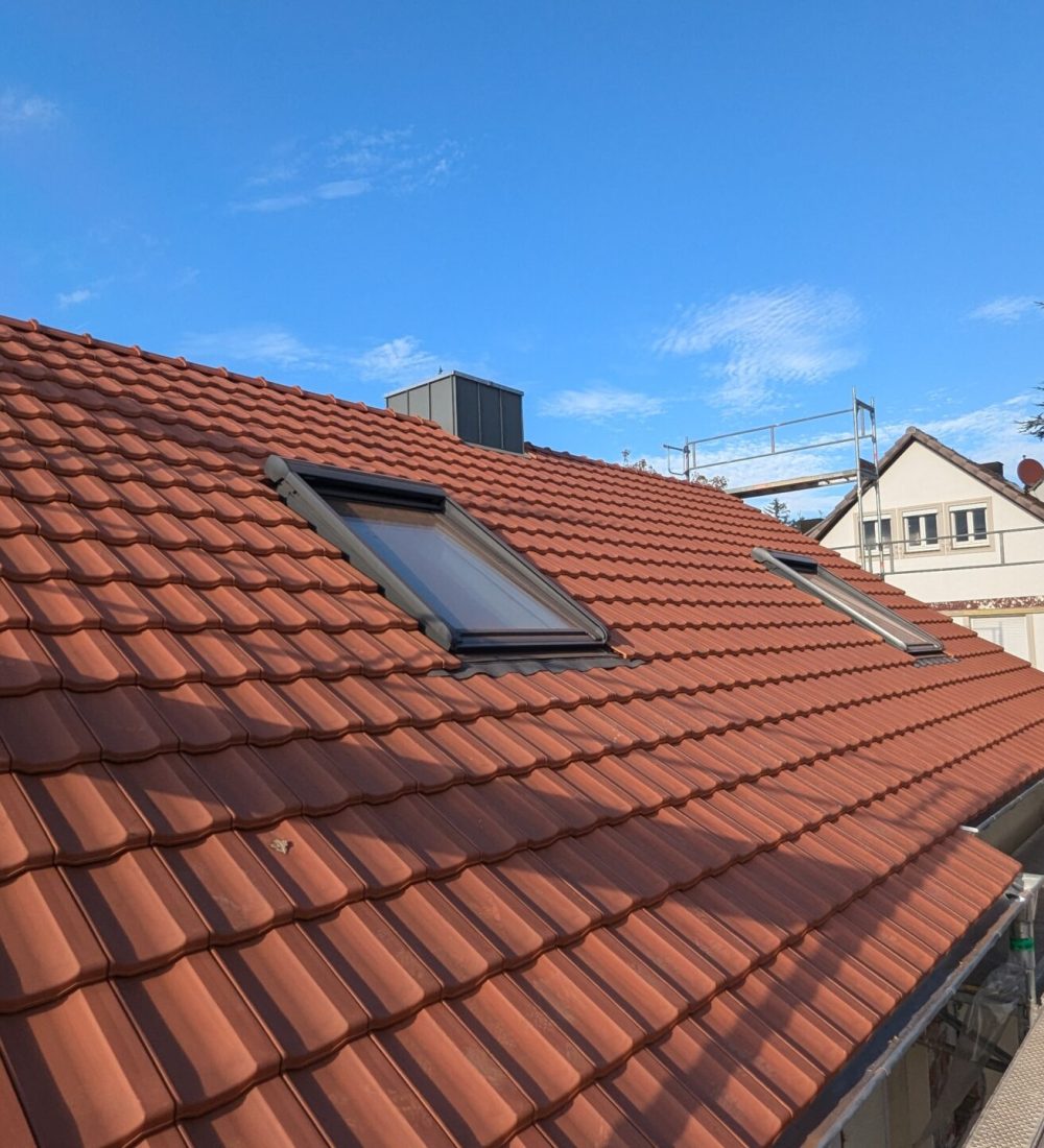 PXL_20241029_131523028