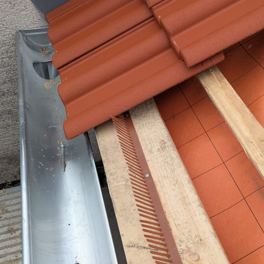 PXL_20241122_141137000